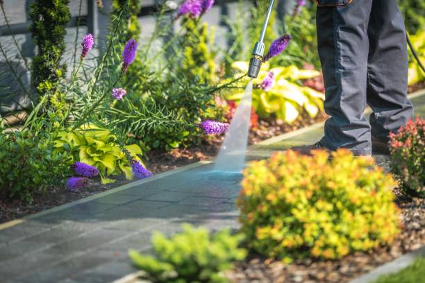 Best Gutter Cleaning  in Wildwood, MO
